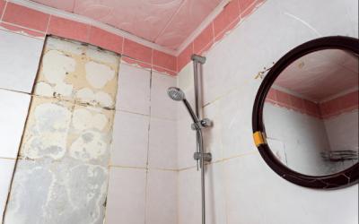 The Damage Bathroom Leaks and Shower Problems Can Cause